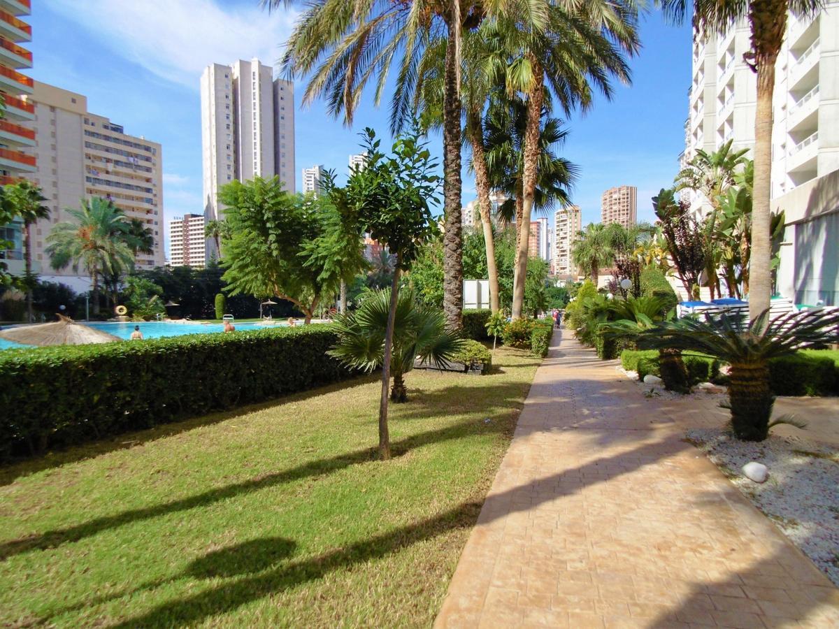 Gemelos 22-3-1C Daire Benidorm Dış mekan fotoğraf
